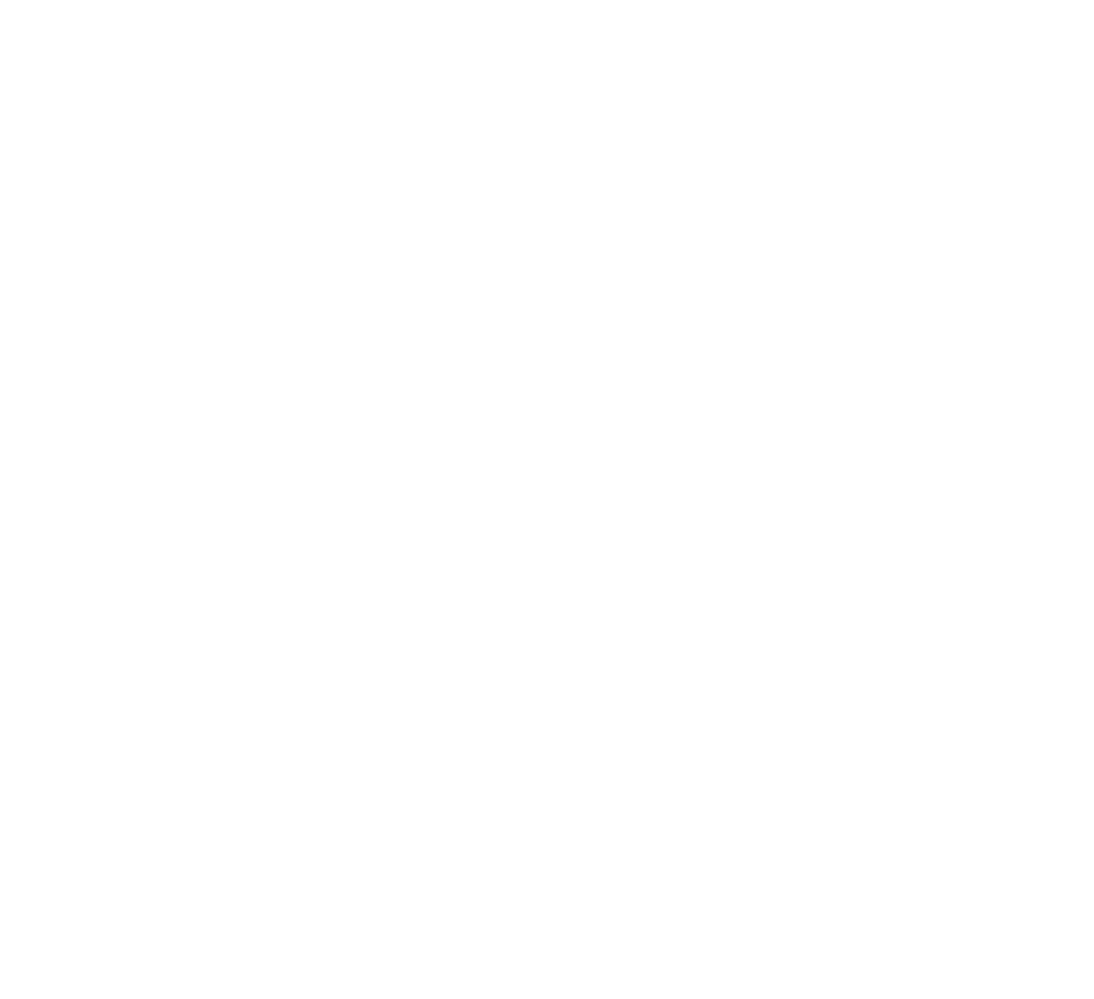logo bianco SOCOEL